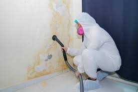 Best Commercial Mold Inspection  in Northwood, IA